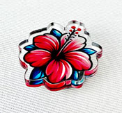 Esempio di pin in acrilico