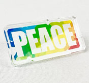 Esempio di pin in acrilico