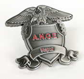 Esempio di pin antico