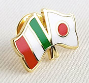 Esempio di pin in smalto duro