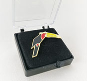 Esempio di pin in smalto duro