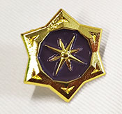 Esempio di pin in fusione di metallo