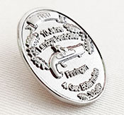 Esempio di pin in fusione di metallo