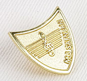 Pin sabbiato