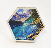Esempio di pin in legno